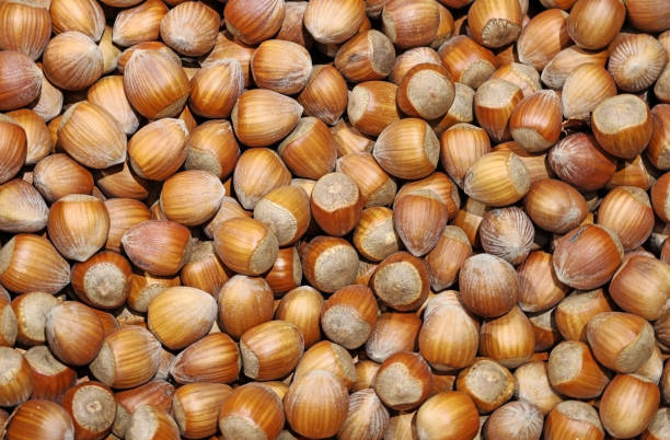 istock A set of hazelnuts. Concept of nuts and nutrition 1463377652