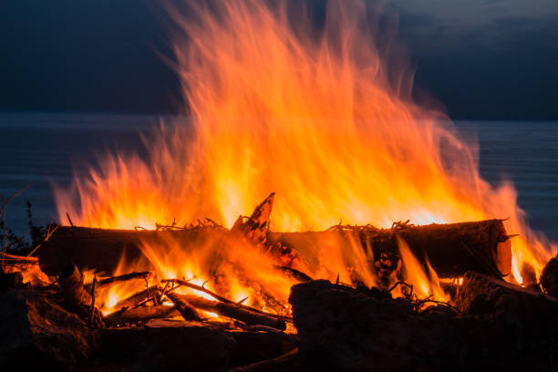 istock Beautiful view of a night campfire on a beach 1463378161