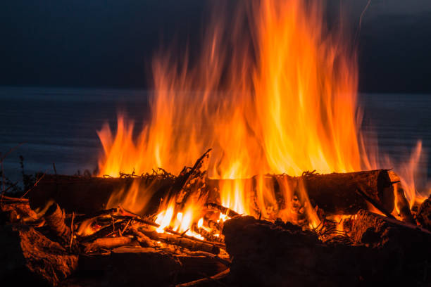 istock Shot of a campfire at twilight on the beach. 1463378166