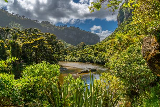 istock Aerial view of river surrounded greenery mountains and dense trees 1463378906
