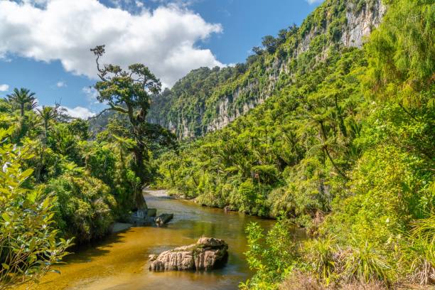 istock Aerial view of river surrounded greenery mountains and dense trees 1463378910