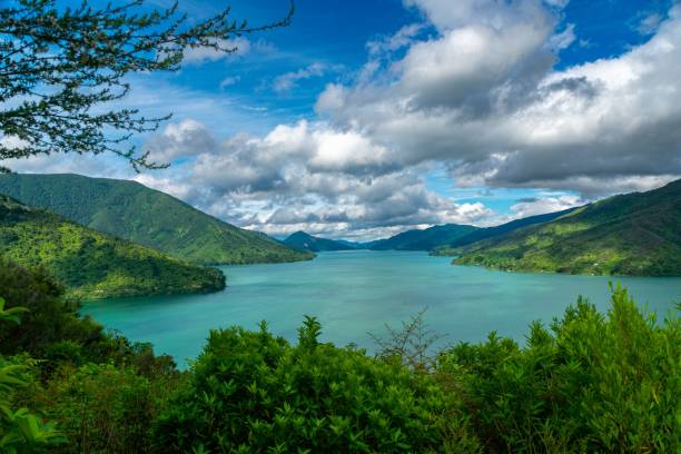 istock Aerial view of lake surrounded greenery mountains and dense trees 1463378917
