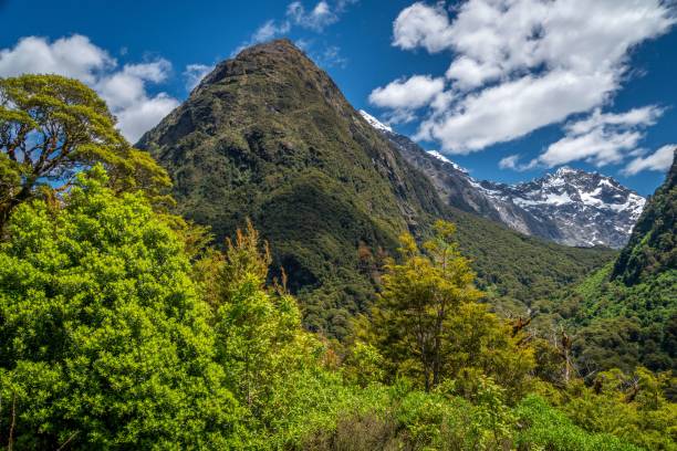 istock Aerial view of mountain landscape with dense trees 1463378986