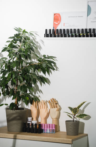 Manicure salon. Contemporary manicure tools locating on long shelves in salon