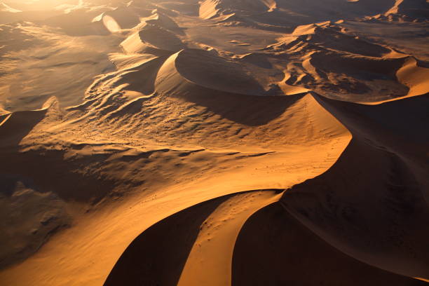 istock Beautiful landscape of sandy desert in Namibia 1463381074