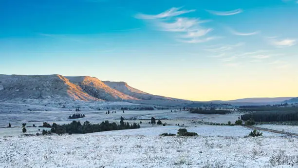 Snow during the cold winter months of South Africa.  This is the elevated region of the Eastern Cape Province near the town of Hogsback, South Africa.