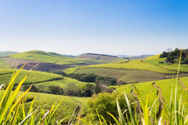 Photo of Valley of a Thousand hills landscape