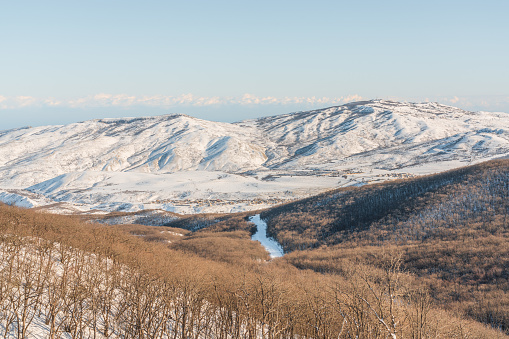 A bare winter forest and snow-capped mountain range in Azerbaijan