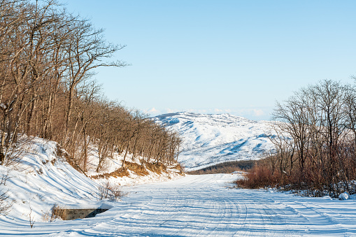 A snow-covered road between a leafless mountain forest parts with a hill in the background