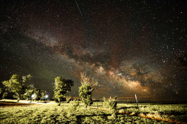 Free Stock Photo of Starry Night Sky Over Grassy Field | Download Free ...