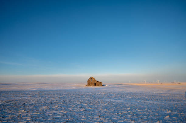 カナダのアルバータ州の冬の野原にある古い納屋で、青い空。 - snow horizon winter shed ストックフォトと画像