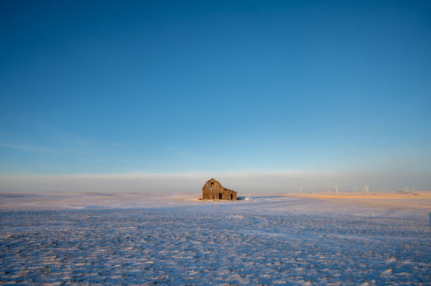 celeiro velho em um campo de inverno em alberta, canadá com céu azul. - snow horizon winter shed - fotografias e filmes do acervo