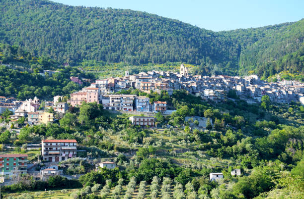 istock Medieval town in the Lazio region 1463388571