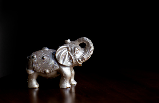 Silver elephant on black background isolated