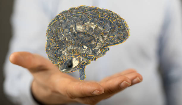 istock Digital concept of artificial intelligence with an illustration of a human brain in a hand 1463393242
