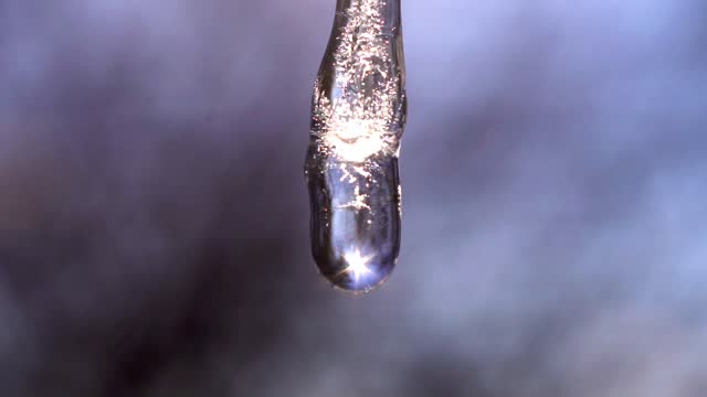 icicle in the sun