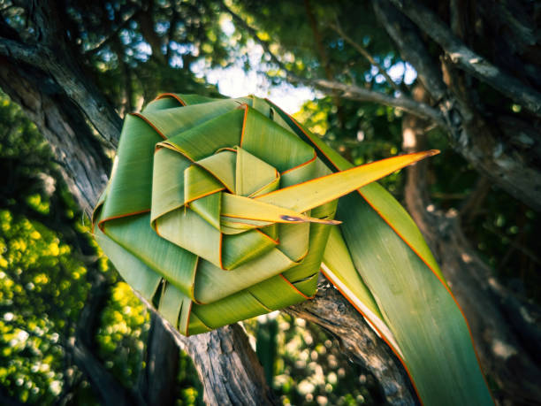 직조 아마 꽃 - 전통적인 마오리 패턴 - new zealand flax 뉴스 사진 이미지