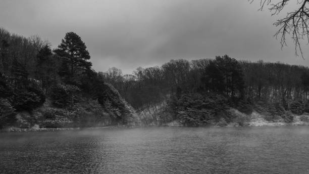 A grayscale of a mountain forest and a river