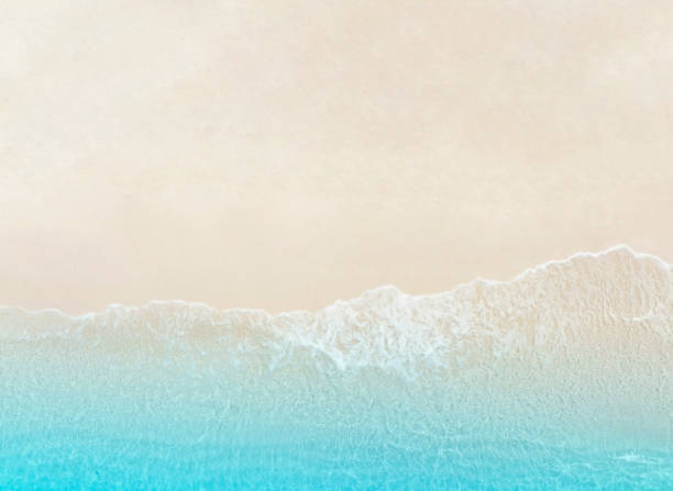 istock The tropical Summer with wave water as white sand beach background 1463397524