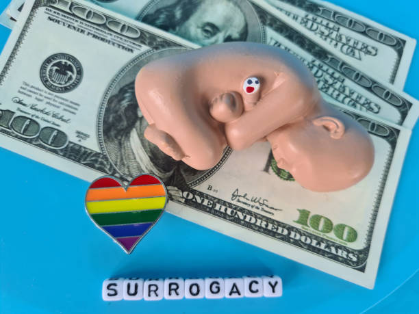 GBT family surrogate motherhood embryo paid childbirth and pregnancy GBT family surrogate motherhood embryo paid childbirth and pregnancy. Law on surrogate motherhood, the correct adoption of a homosexual couple and the upbringing of a child surrogacy stock pictures, royalty-free photos & images