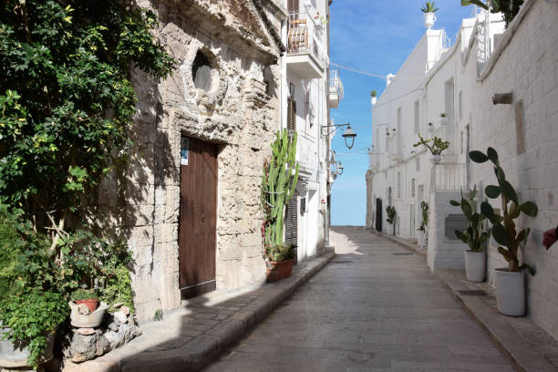 typical house exterior in Puglia View of a backstreet near the harbour in Monopoli, Italy monopoli puglia stock pictures, royalty-free photos & images