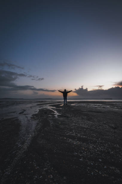 istock Back view of a person on the beach at sunset 1463401572