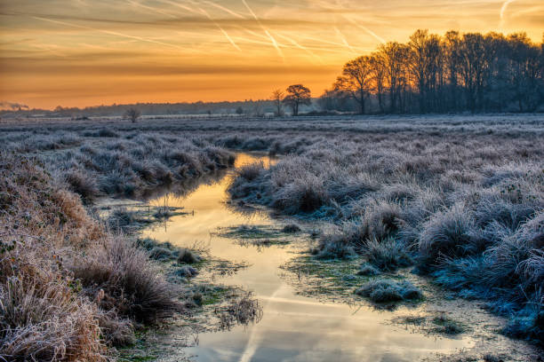 istock Scenic view of a river surrounded by a meadow during a bright sunset in Biesbosch, the Netherlands 1463401646
