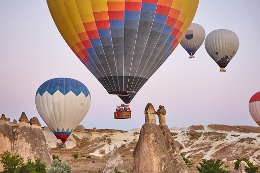 Balloons in rose valley, Cappadocia. Spectacular flight in Goreme. Turkey