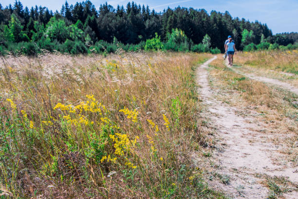 istock beautiful summer village landscape. Road 1463401679