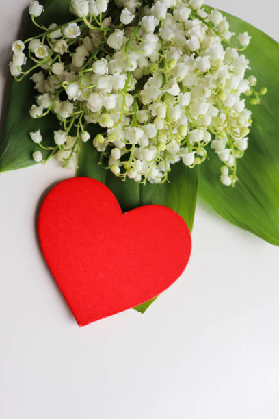 istock spring flowers, red heart and gift box 1463402057
