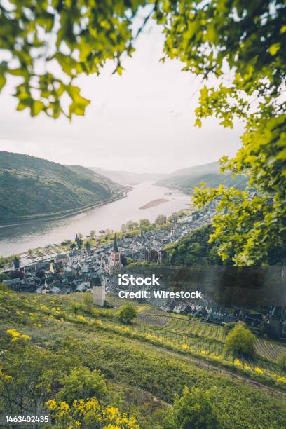 Beautiful Framed View Of Bacharach Town In The Picturesque Valley Germany Stock Photo - Download Image Now