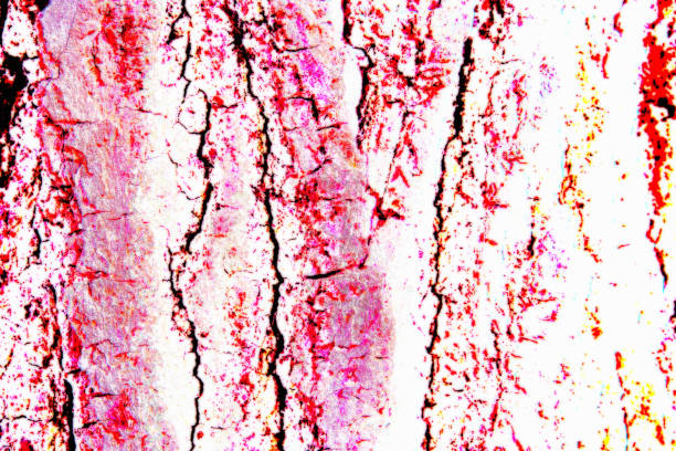 Red creative abstract background, wallpaper, texture, closeup. Modern Art.