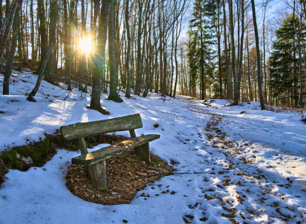 Tables and benches in the forest are covered with snow. January. Web banner. Ukraine.