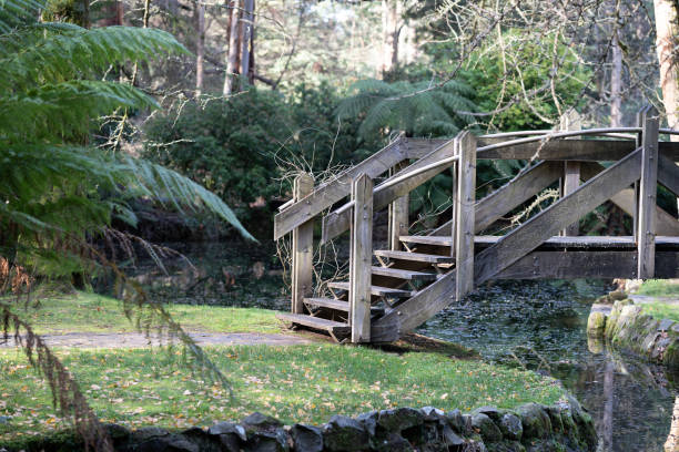 istock Wooden bridge over a river in a park 1463404431