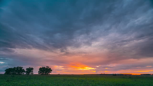 Rain Rainy Clouds Above Countryside Rural Field Landscape With Young Green Wheat Sprouts In Summer Cloudy Sunset Evening. Heavy Clouds Above Agricultural Field. Young Wheat Shoots 4K time-lapse, timelapse