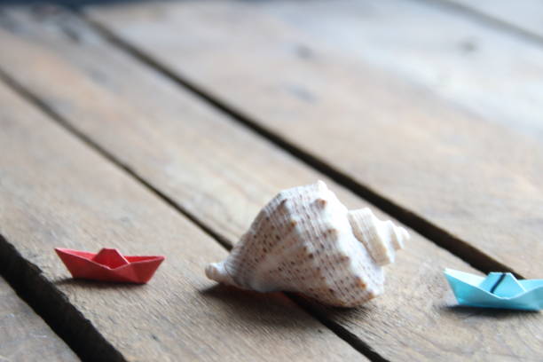 istock Summer background. Seashell on a wooden background. 1463413322