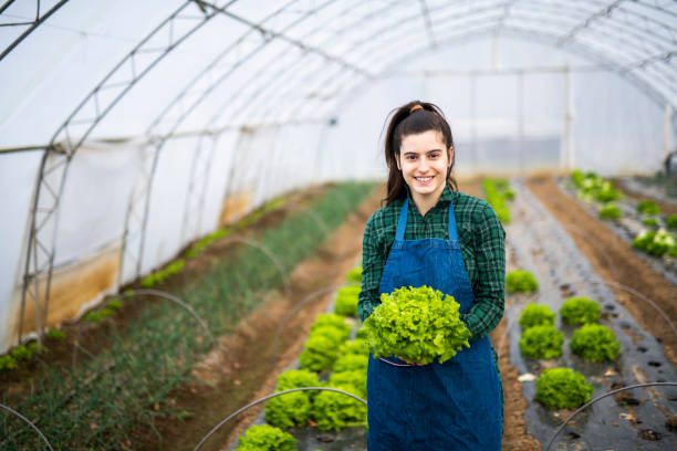 ritratto di una donna sorridente in una serra con lattuce. - lattuce foto e immagini stock