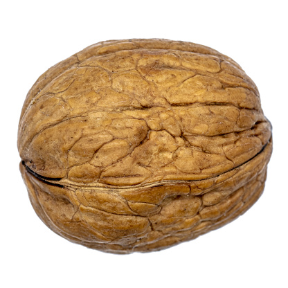 one single walnut in uncracked nutshell, transparent background