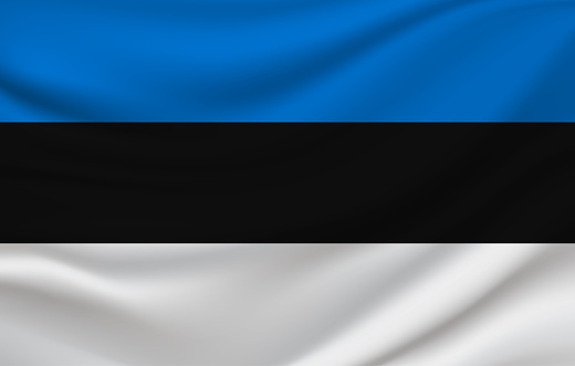 Estonia flag. Vector illustration. EPS10