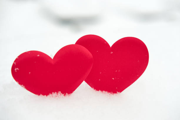 자연스러운 순백색의 부드러운 눈 표면에 두 개의 붉은 하트 모양이 나란히 있습니다. 겨울 휴가철에 사랑의 상징입니다. 복사 공간이 있는 발렌타인 데이를 위한 로맨틱한 야외 컨셉. 정면도, � - valentines day two dimensional shape heart shape love 뉴스 사진 이미지