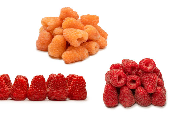 istock Tasty raspberries isolated on  white background. 1463421670