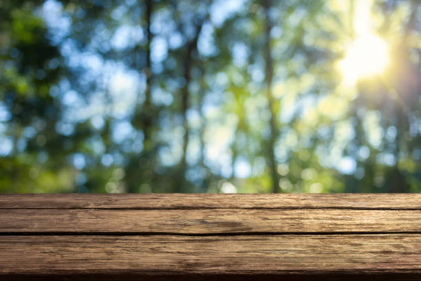 istock wooden table with forest bokeh background 1463421864