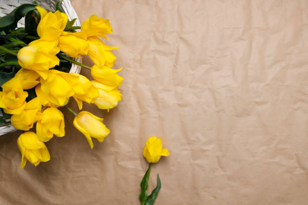 Yellow spring tulips on a light craft background with space for a copy. Beautiful flowers on a paper mint background. Textured beige background with yellow colors. Baner for Mother's Day, Easter, March 8