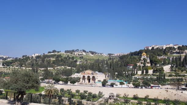 istock Jerusalem and the Garden of Gethsemane 1463425711