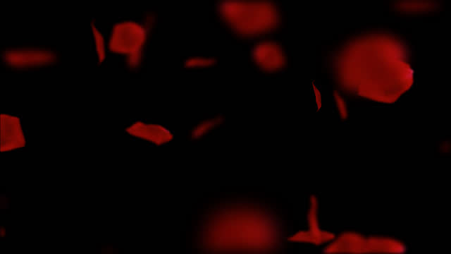 Falling rose petals on a black background with an alpha channel.