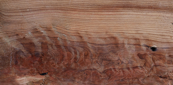 Old wooden boards background full of shipworm holes, texture