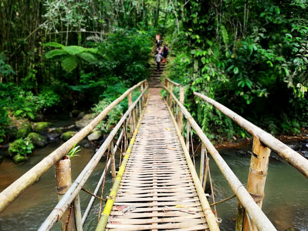 istock Leke Leke waterfall,at Tabanan regency of Bali 1463436115
