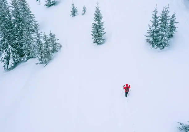 Lonely female trekker dressed red jacket with trekking poles walking by snowy slope flying drone aerial shot with fir-trees covered snow, Low Tatra mountains, Slovakia. Beauty in Nature concept photo