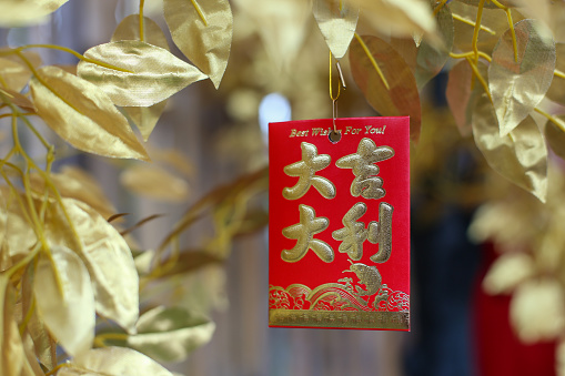 Angpow (red envelope with prosperity wishing) hanging at golden colour tree to welcome Chinese New Year.