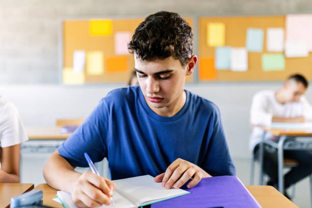 istock Male pupil student studying at desk in school classroom 1463447787